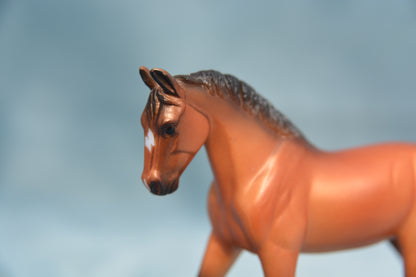 Warmblood
