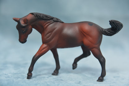 Decorator G2 Appaloosa