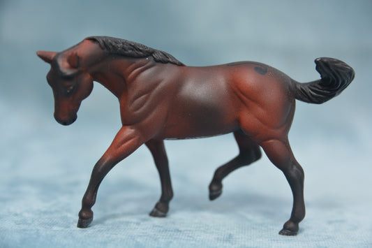 Decorator G2 Appaloosa