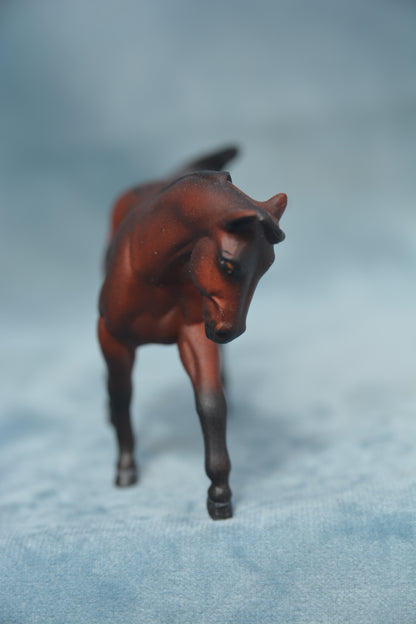 Decorator G2 Appaloosa