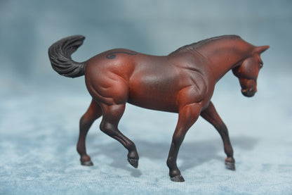 Decorator G2 Appaloosa
