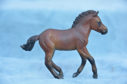 Custom Fjord Foal