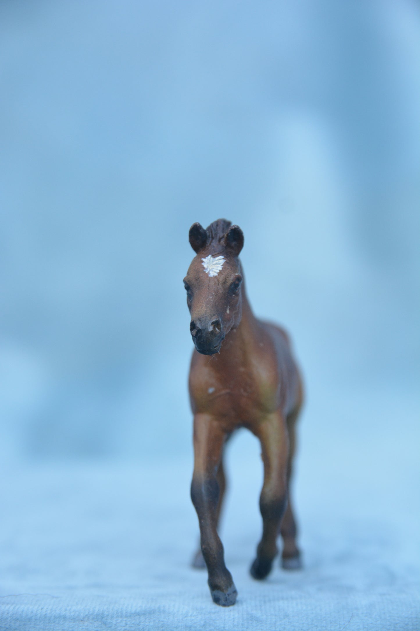 Custom Fjord Foal