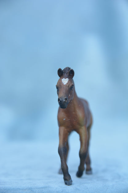 Custom Fjord Foal