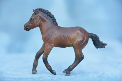 Custom Fjord Foal