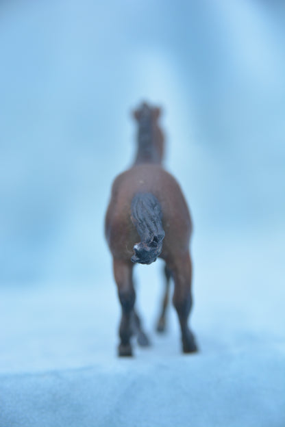 Custom Fjord Foal