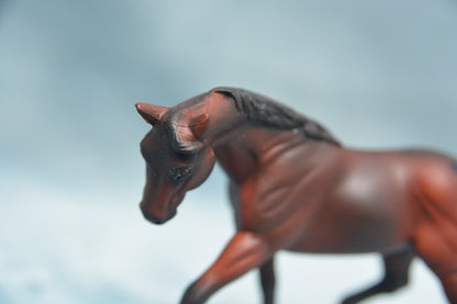 Decorator G2 Appaloosa