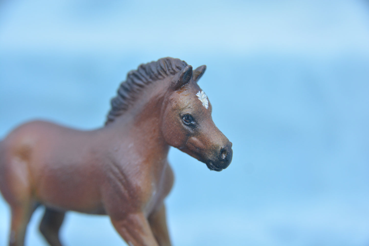 Custom Fjord Foal