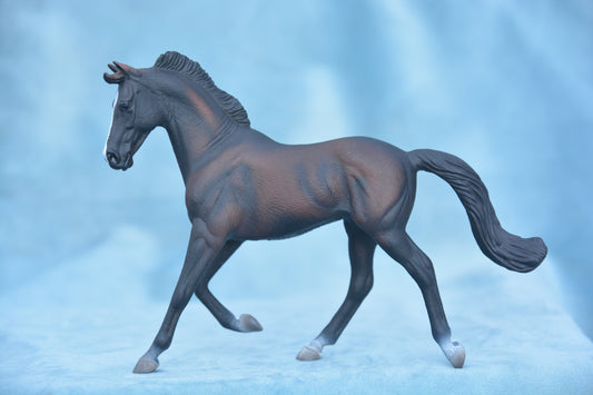 Black Thoroughbred Mare