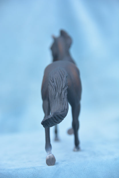 Black Thoroughbred Mare