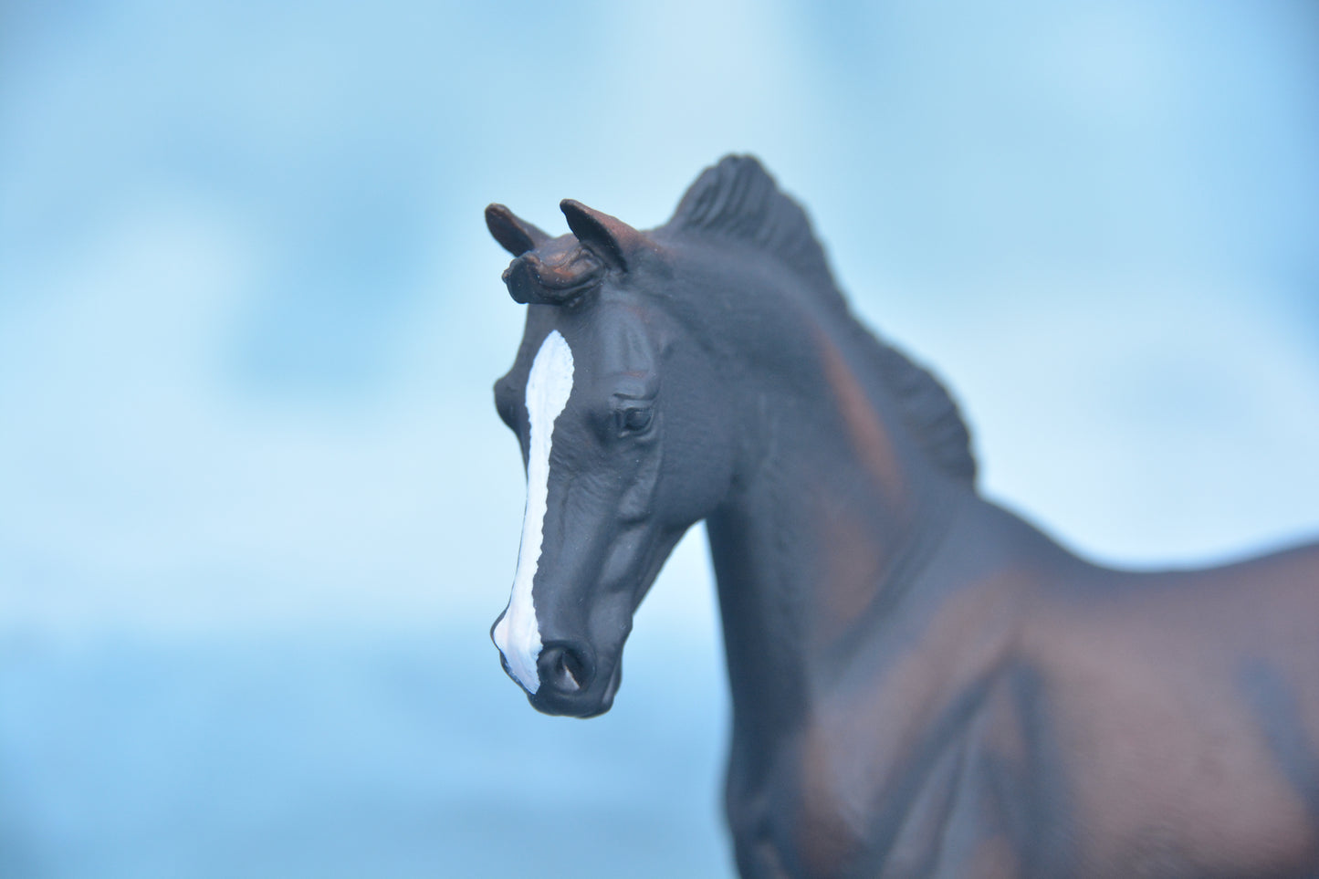 Black Thoroughbred Mare