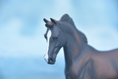 Black Thoroughbred Mare