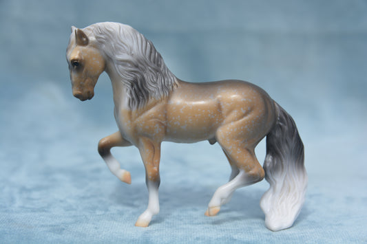 Mystery Foal Andalusian