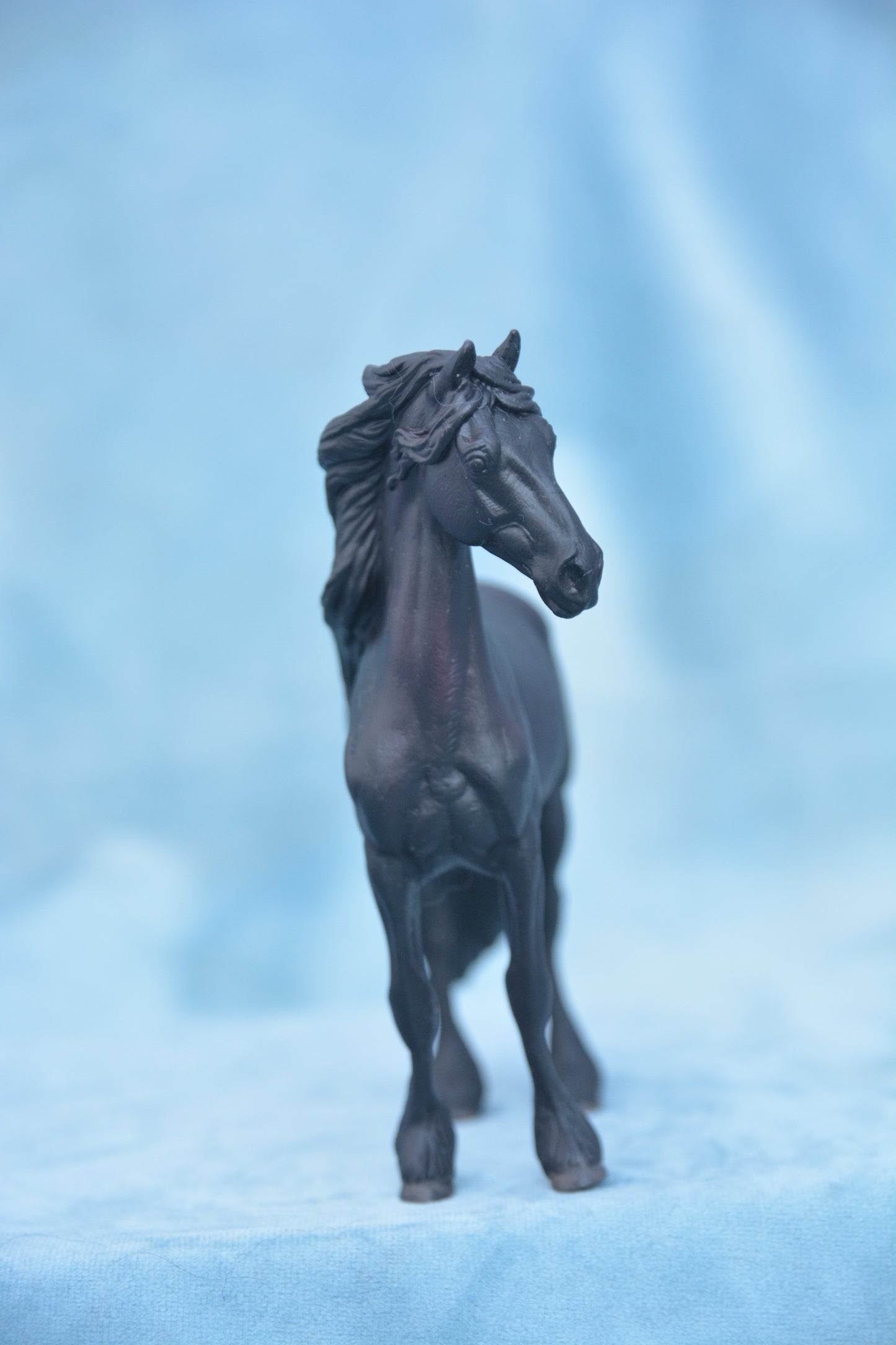 Black Friesian