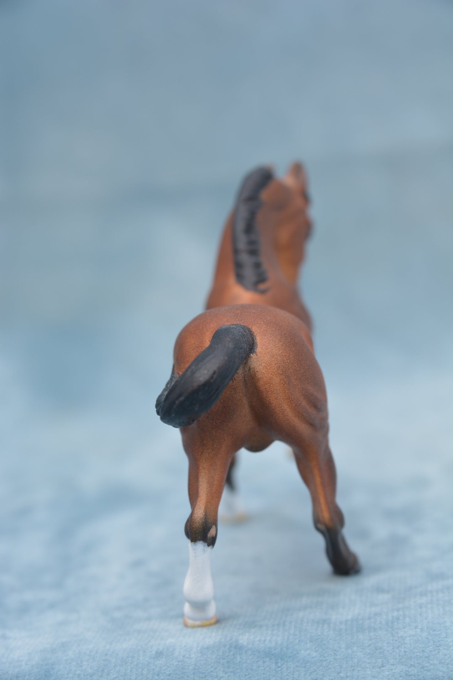 Bay G2 Warmblood