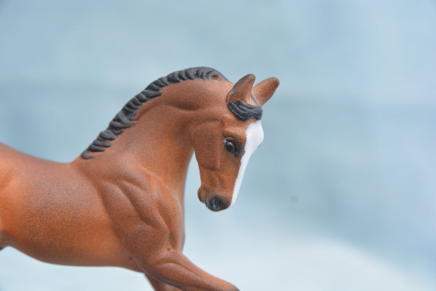 Bay G2 Warmblood