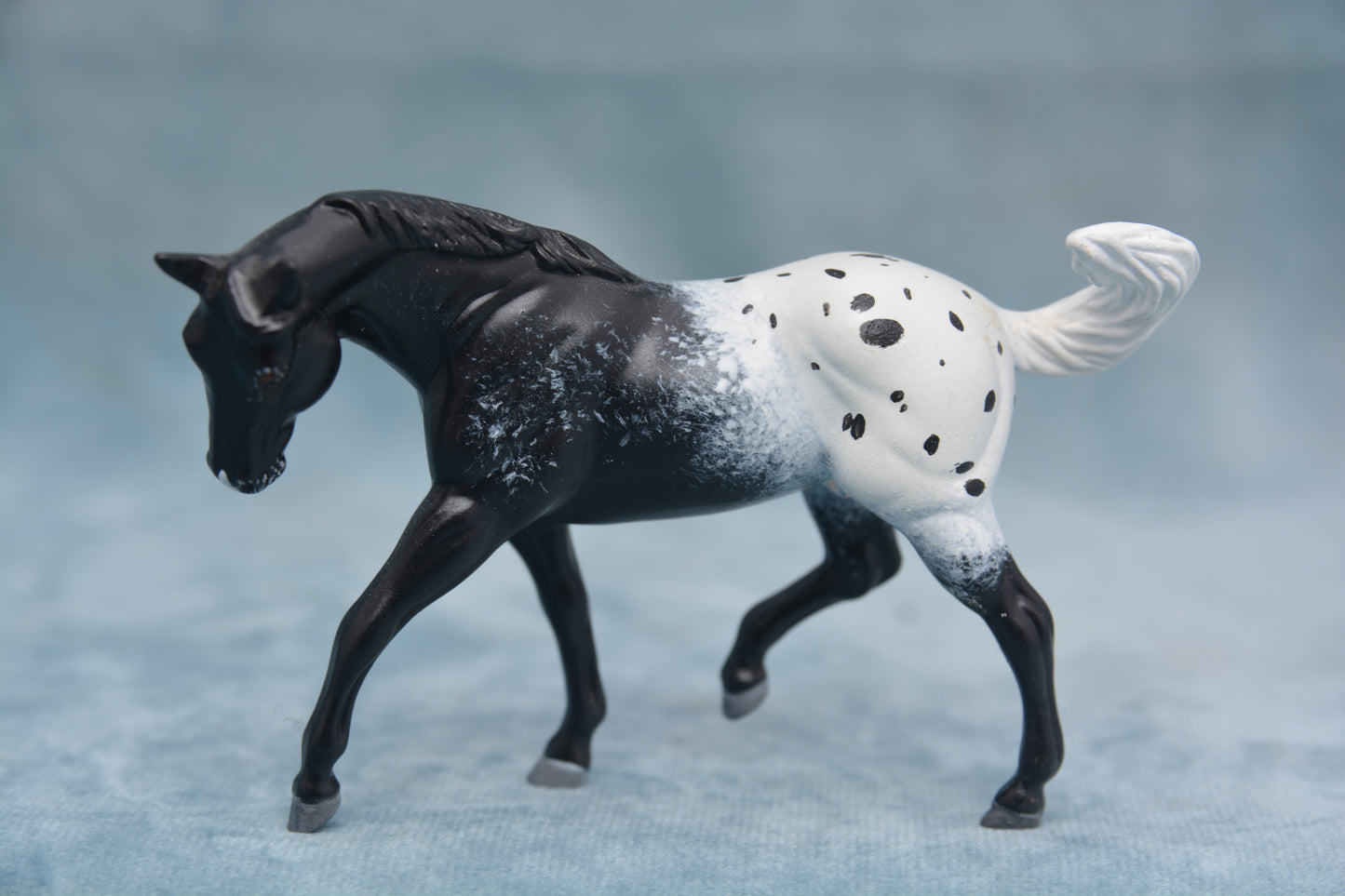 Blanket G2 Appaloosa
