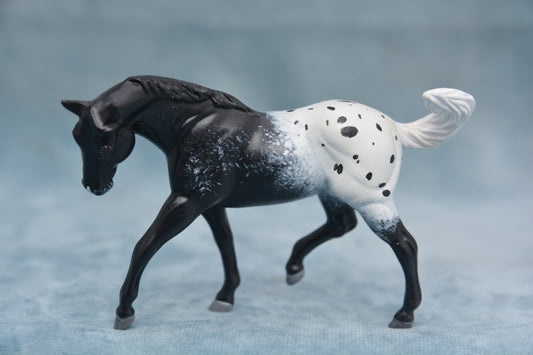 Blanket G2 Appaloosa