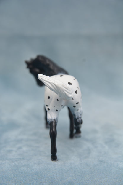 Blanket G2 Appaloosa