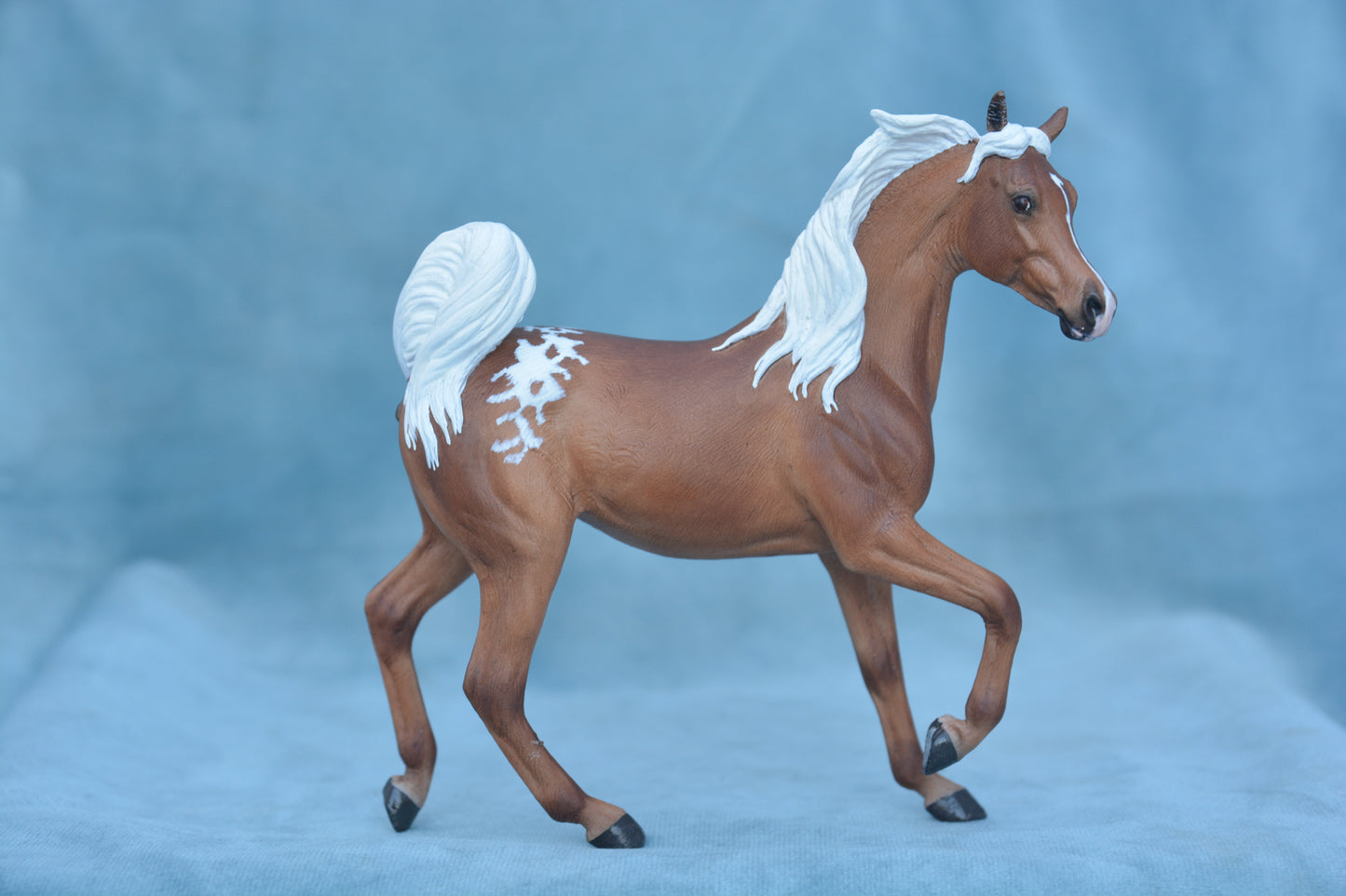 Palomino Spotted Arab