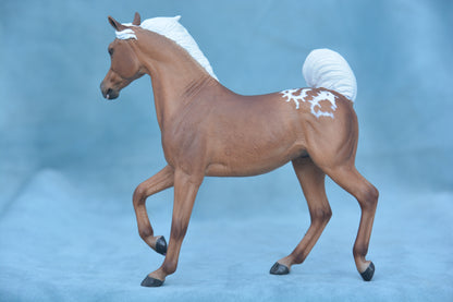 Palomino Spotted Arab