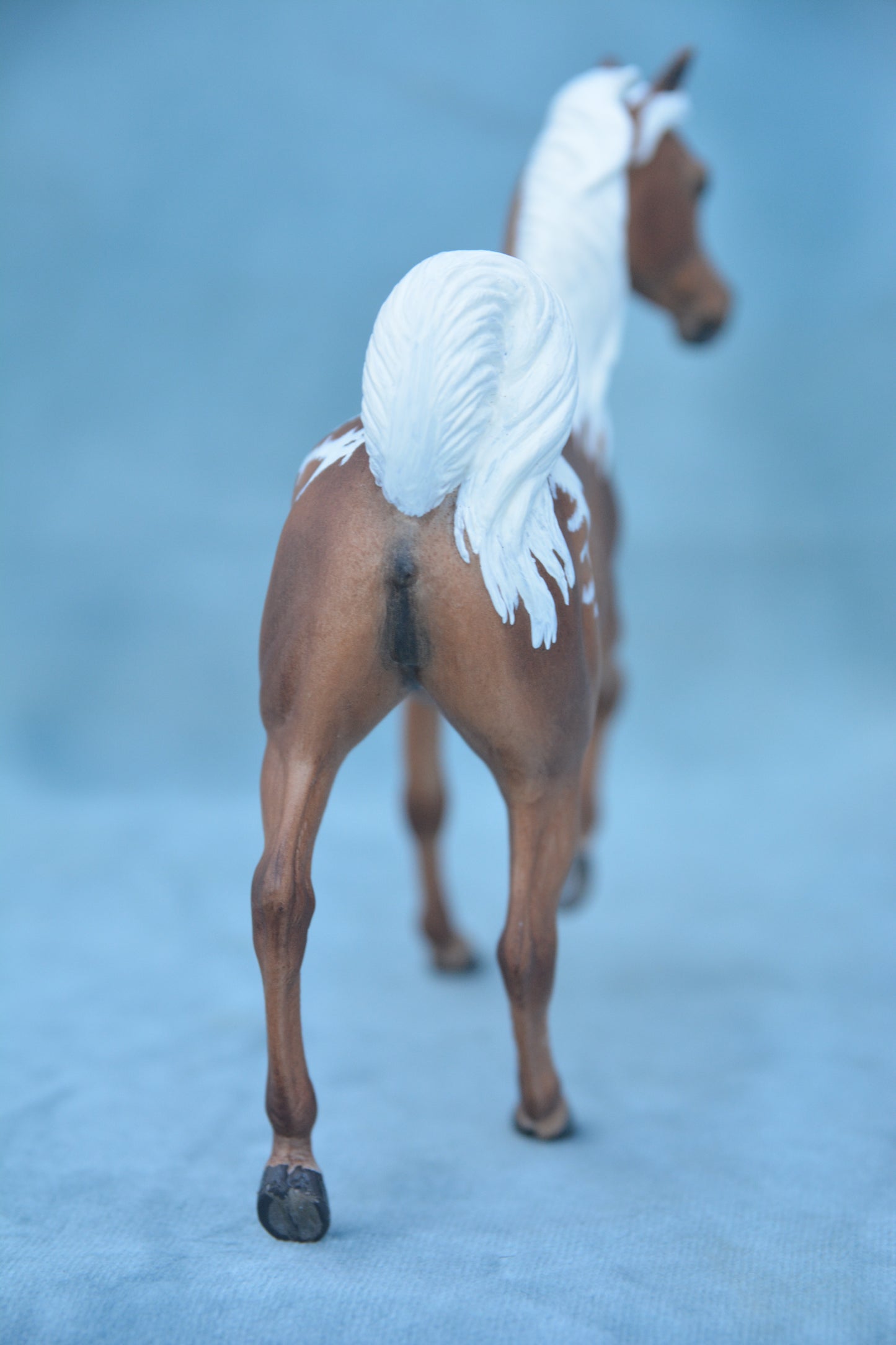 Palomino Spotted Arab