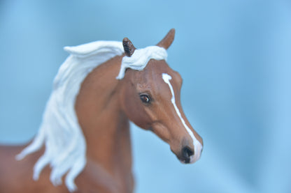 Palomino Spotted Arab