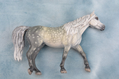 Grey Arabian Resculpt