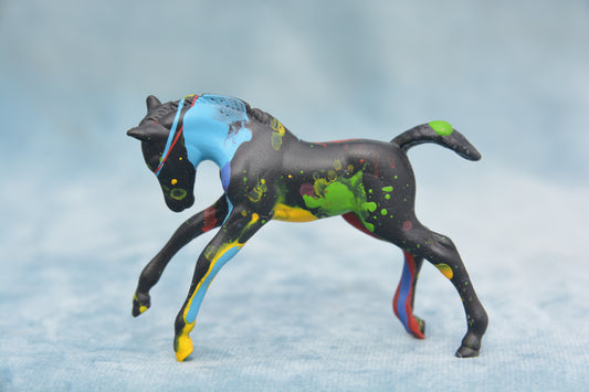 Paint Splash Foal