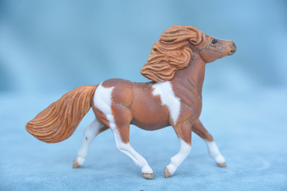 Chestnut Pinto Shetland
