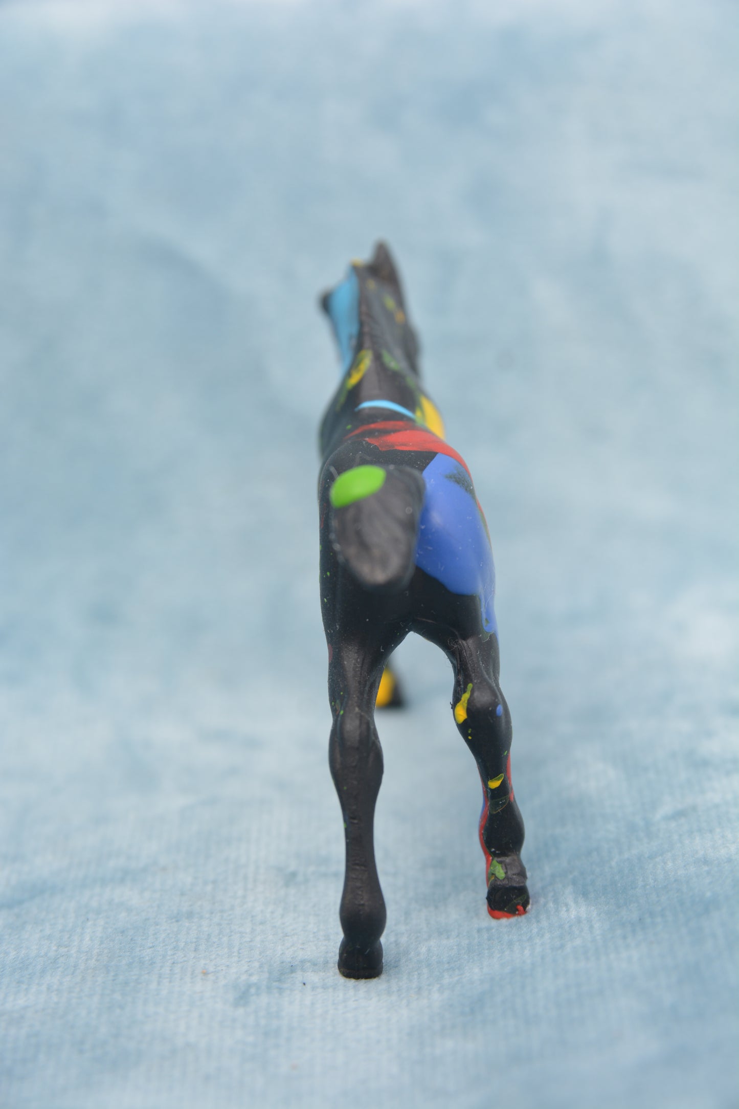 Paint Splash Foal
