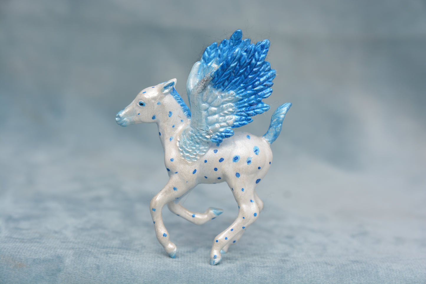 Pegasus Foal