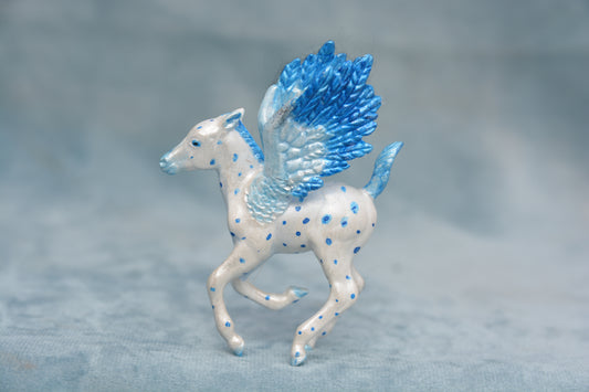 Pegasus Foal