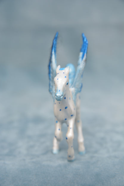 Pegasus Foal