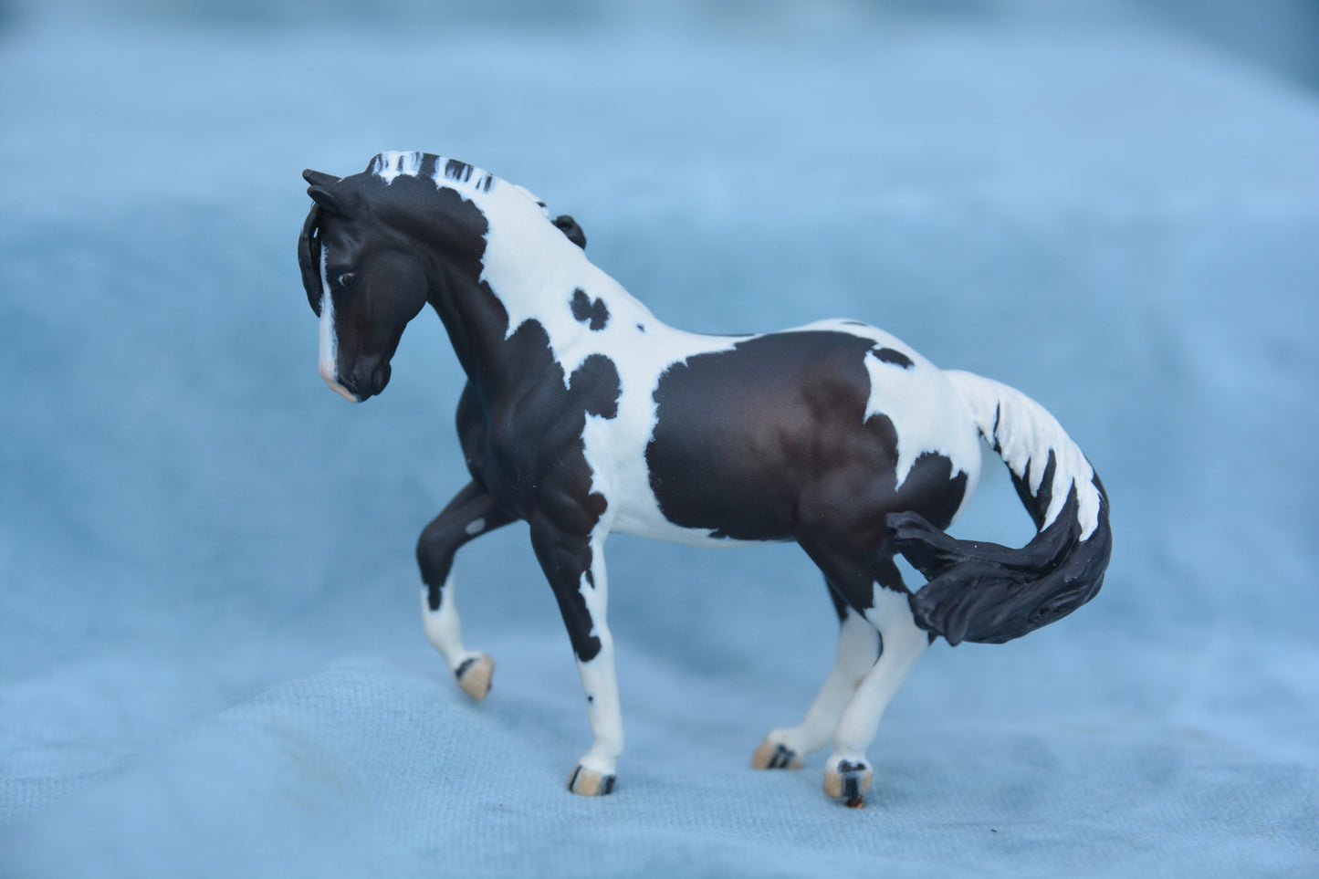 Pinto Valegro