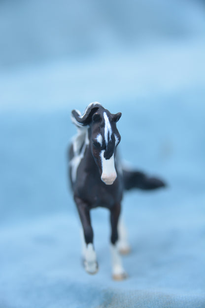 Pinto Valegro