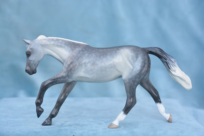 Grey Pebbles Quarter Horse
