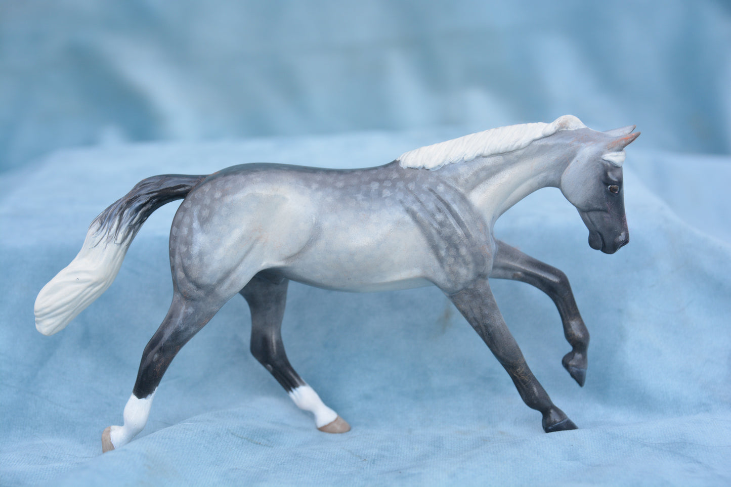 Grey Pebbles Quarter Horse