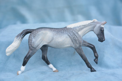 Grey Pebbles Quarter Horse