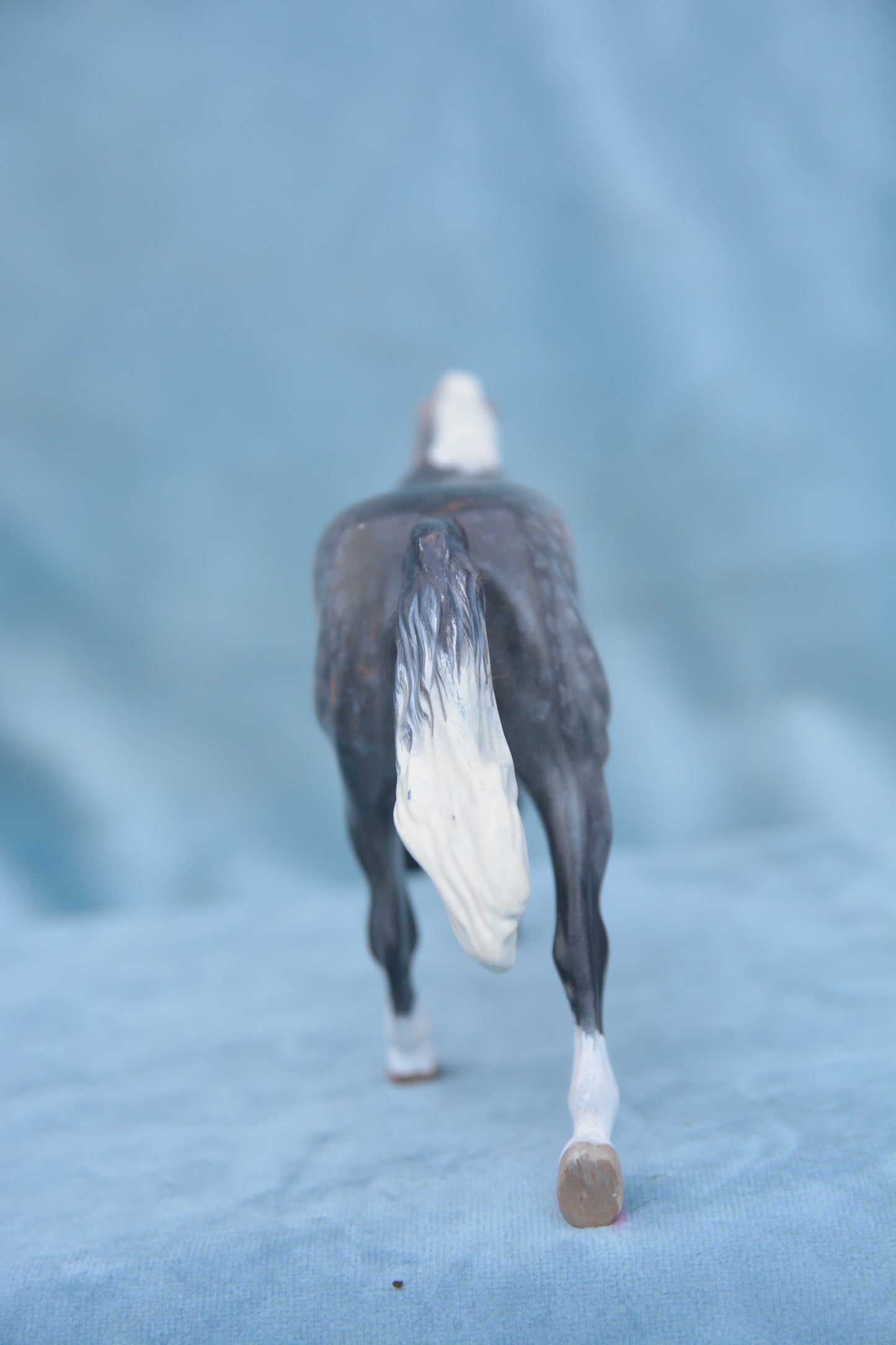 Grey Pebbles Quarter Horse