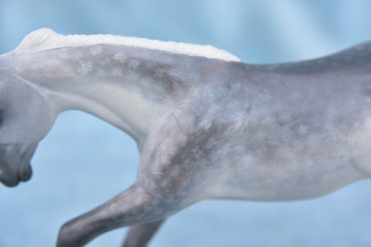 Grey Pebbles Quarter Horse