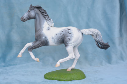 Pintaloosa Warmblood