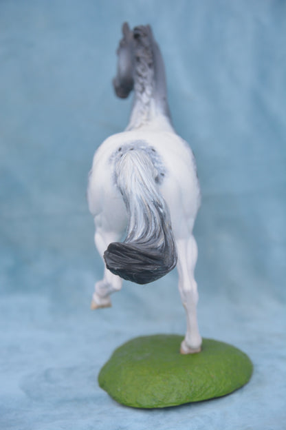 Pintaloosa Warmblood