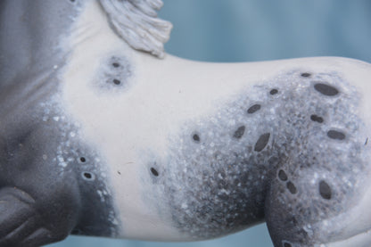 Pintaloosa Warmblood