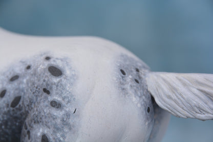 Pintaloosa Warmblood