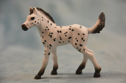 Knabstrupper Foal