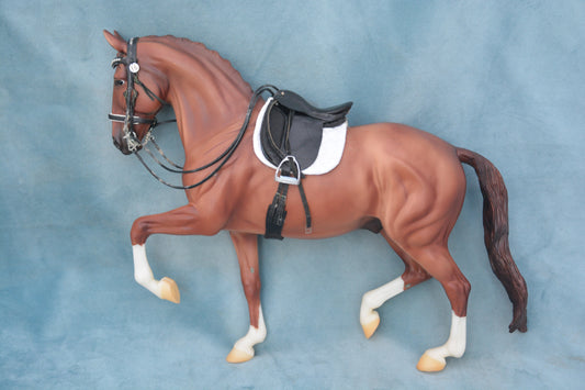 Mistral Hojris & Custom Tack