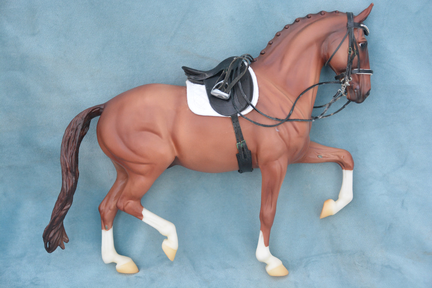 Mistral Hojris & Custom Tack