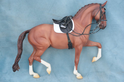 Mistral Hojris & Custom Tack