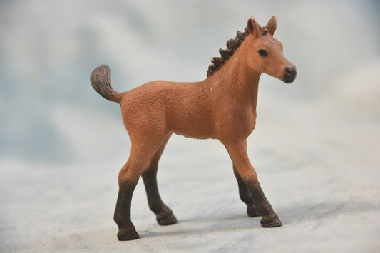 Vet Foal